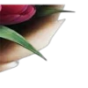 🌷