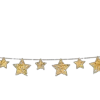 🌟