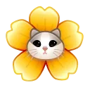 🌸