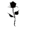 🌹
