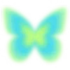 🦋