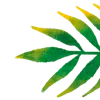 🌿