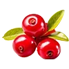 🍒