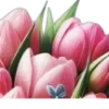 🌷