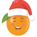 🍊
