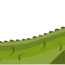 🐊