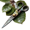 ✂️