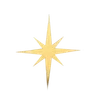 🌟