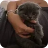 🐾