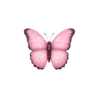 🦋