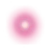 🩷
