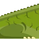 🐊