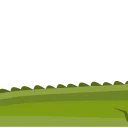 🐊