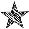 🌟