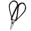 ✂️