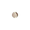 ⚪️