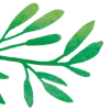 🌿