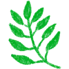 🌿
