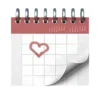 🗓️