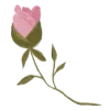 🌹