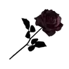 🌹