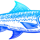 🐠