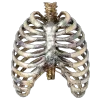 ☠️