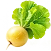 🥕