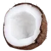 🥥