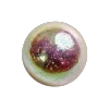 🐚