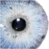👁️