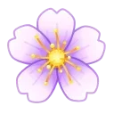 🌸