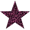 🌟