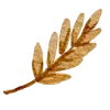 🍂
