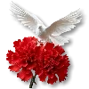 🕊