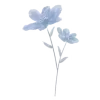 🪻