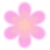 🌺