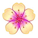 🌸