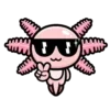 😎