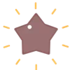 🌟