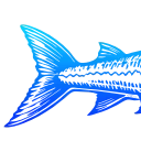 🐠