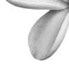 ⭐