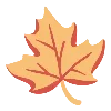 🍁