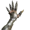 🖐