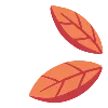 🍂
