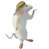 🐀
