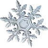 ❄️