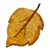 🍂