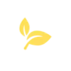✨