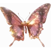 🦋